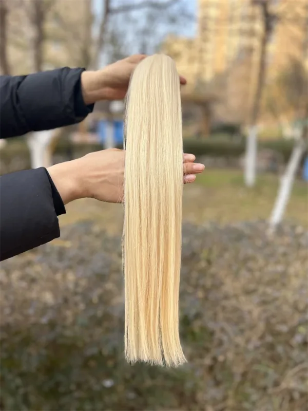 extensions de cheveux birmans couleur 613